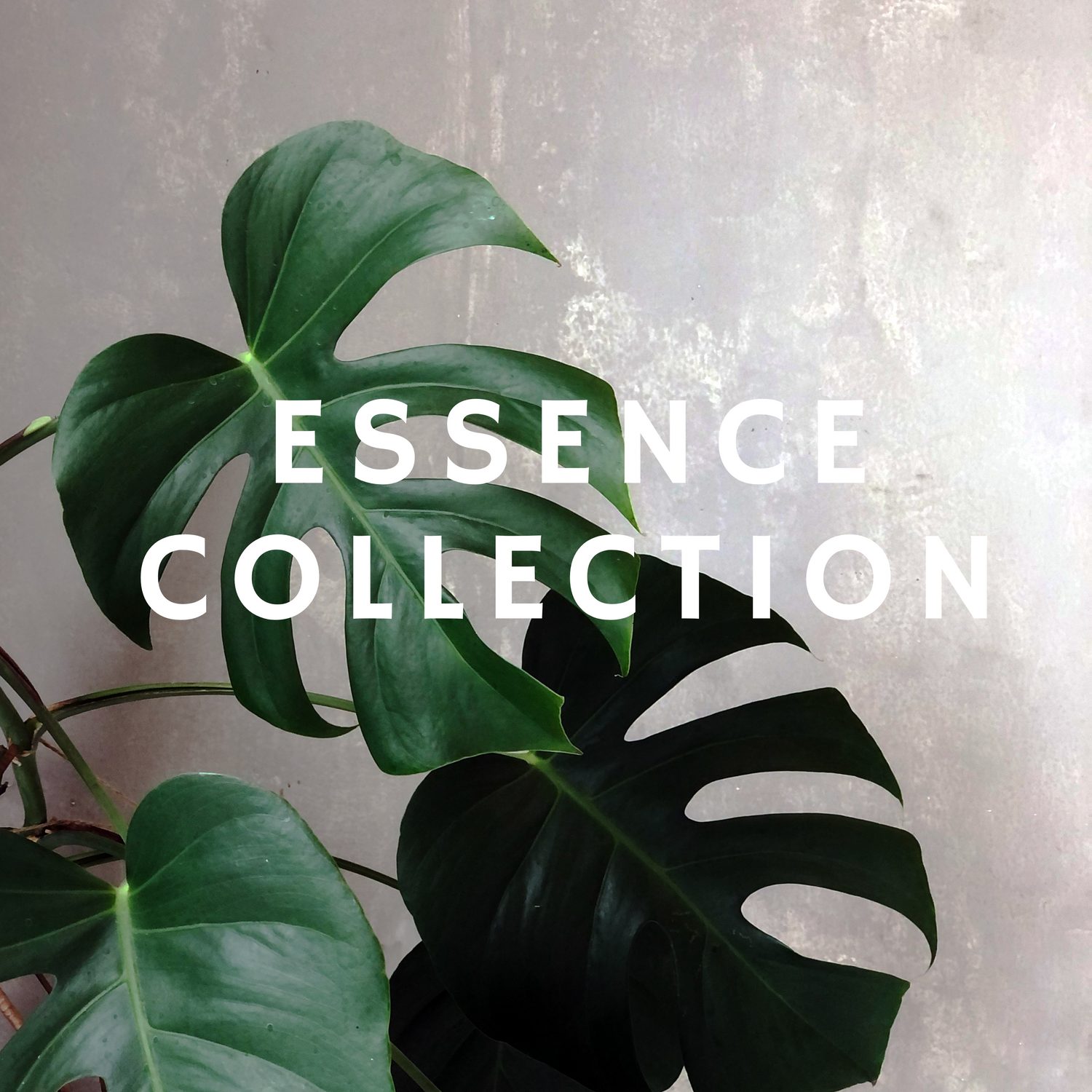 Essence Collection
