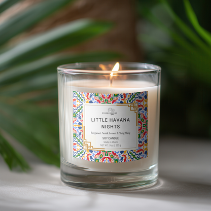 Little Havana Nights